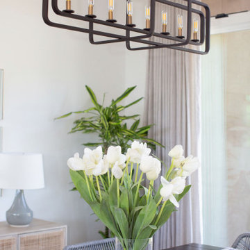 Project Serenity, Design Only Package