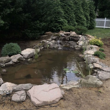 11x16' Ecosystem Pond in Haddonfield, NJ