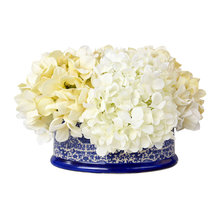 Hydrangea