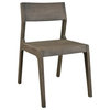 Set of 2 Tundra Wood Dining Chairs