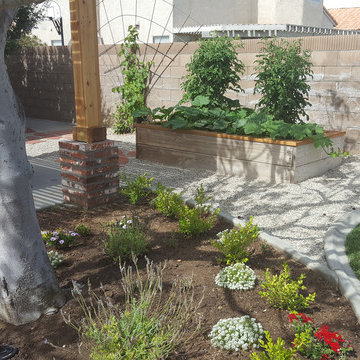 Backyards