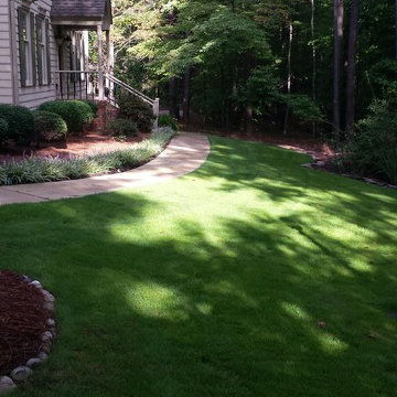 Emerald Zoysia in Dappled Shade