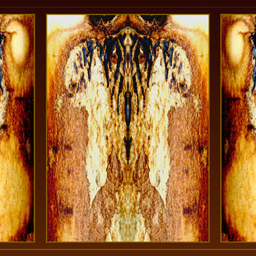 Exclusive New Zealand 'Tokotoko' Splashback Range: 'Native Tree bark design'