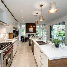 kitchen reno