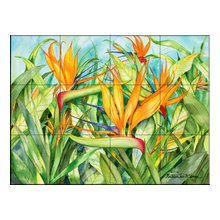 Bird of paradise
