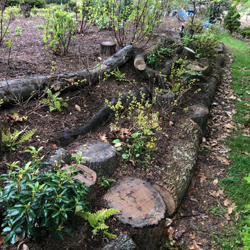 Pollinator wildlife garden