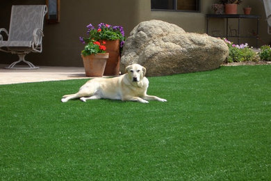 Synthetic Grass Installs