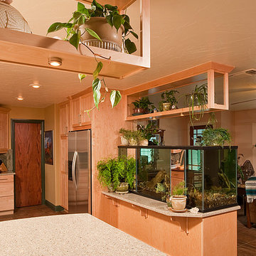 Fish Tank Room Break