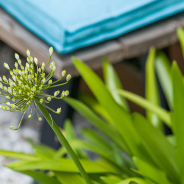 Exotic City Garden