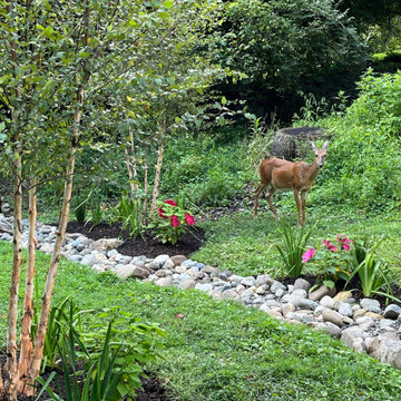 Rejuvenated Walkway and Driveway in Takoma Park Maryland