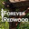 Forever Redwood