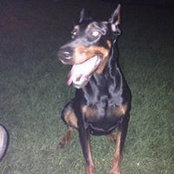 Steve Simpkins's photo