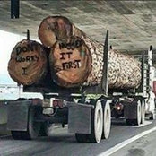 Wade Burton's photo