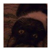 Florence Pecau's photo