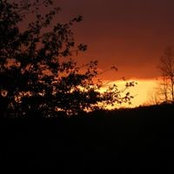 Nellie Workman's photo