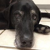 Michelle Lancaster's photo