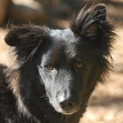 Nancy Quesada's photo