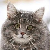 Pamela Novick's photo