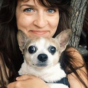 Ashley Davidson's photo