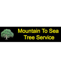Mountain To Sea Tree Service