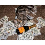 Peter Donato's photo