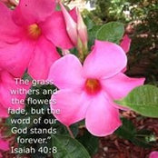 Debbie Beatty Robb's photo