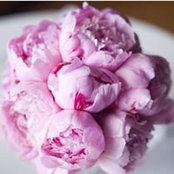 Aliye Deveci's photo