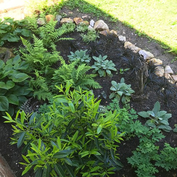 Chevy Chase Foundation Planting