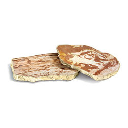 Kivita Coasters-Zebra Jasper And 24K Gold - Coasters