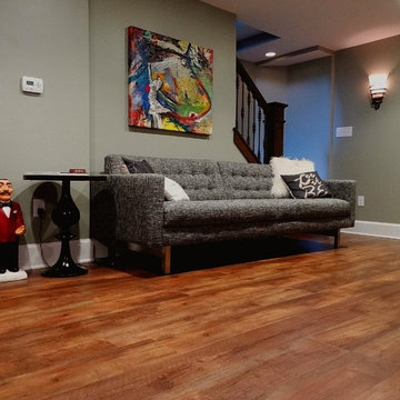 Lower Level Remodel with Wine Cellar