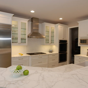 Transitional White Kitchen Renovation in Highland Park, IL