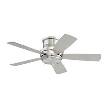 Ceiling Fans