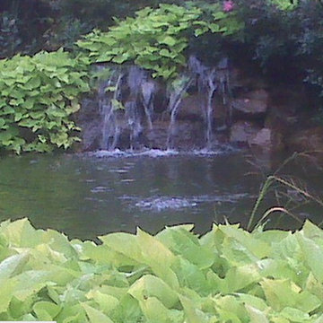 Our Landscapes
