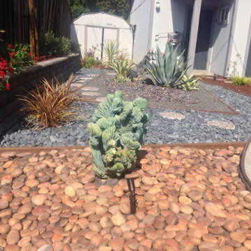 Asian Inspired Garden with Succulents