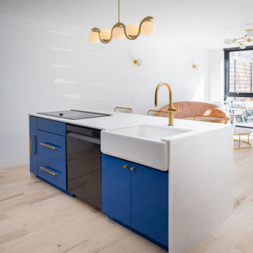 Williamsburg Apartment Renovation