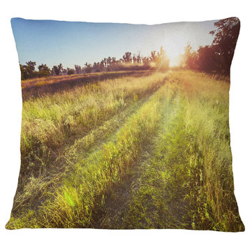 Farm Road in Rural Meadow Landscape Printed Throw Pillow, 18"x18"