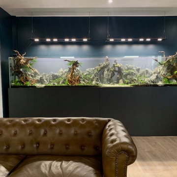 Aquarium XXL inspiré d’une chaîne de montagne – Aquascaping sur mesure