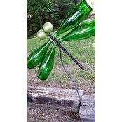 Janice Amer's photo