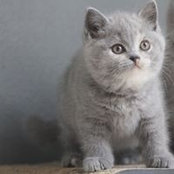 Kerstin Sternstein's photo