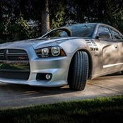 Vince Picone's photo