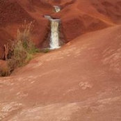 David Taylor's photo