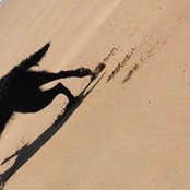 Kelli Bishop's photo