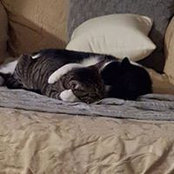 Foto von Marie Jones