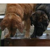 Foto von Sharon Bartley