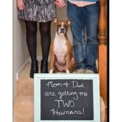Emily Sarvies's photo