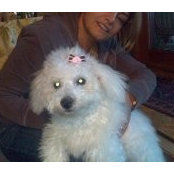 Lale Gucum's photo