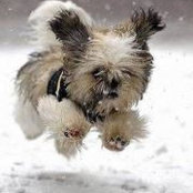 Sasha Tiunova's photo