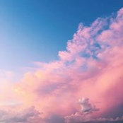 Briony Williamson's photo