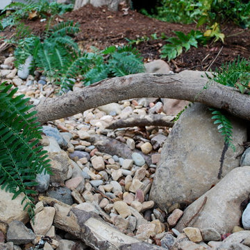 Asian Inspired Woodland Garden