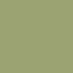 Cucuzza Verde - Paint